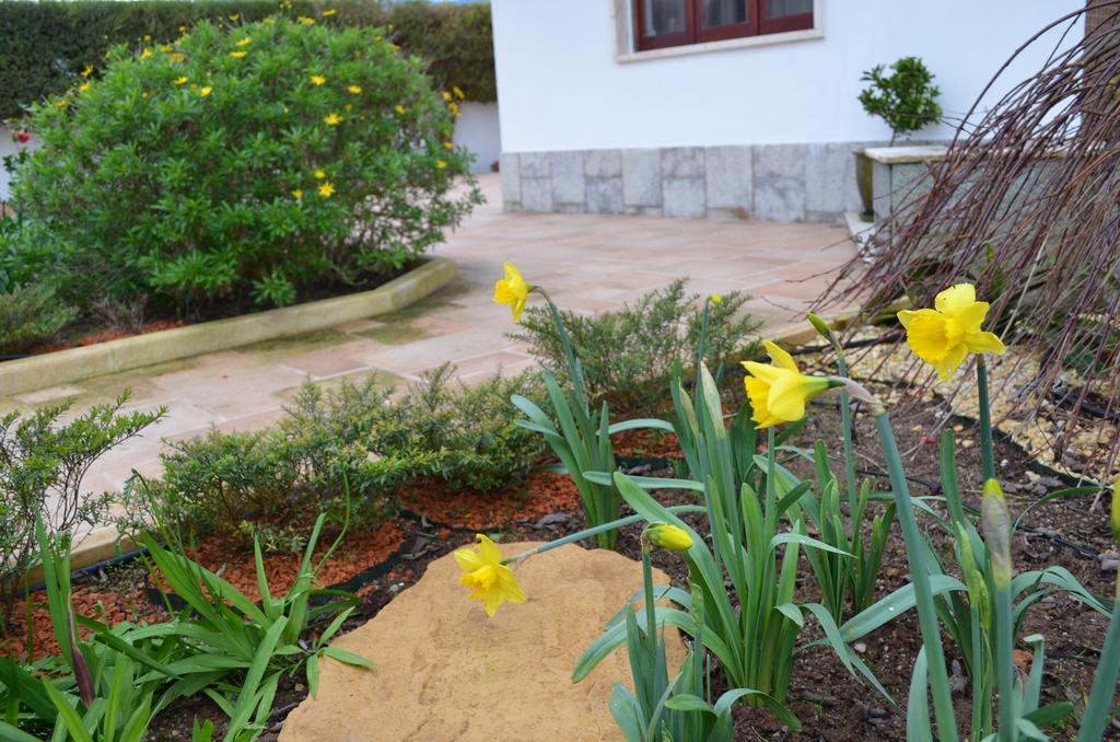 فيلا Beija-Flor House ريبامار المظهر الخارجي الصورة