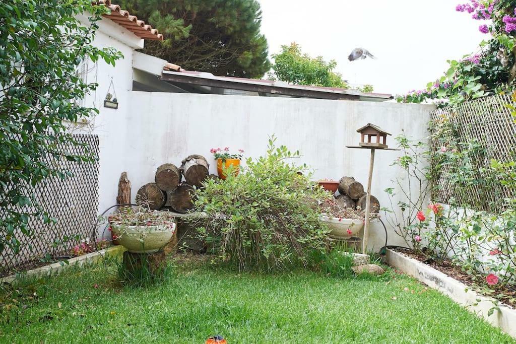 فيلا Beija-Flor House ريبامار المظهر الخارجي الصورة