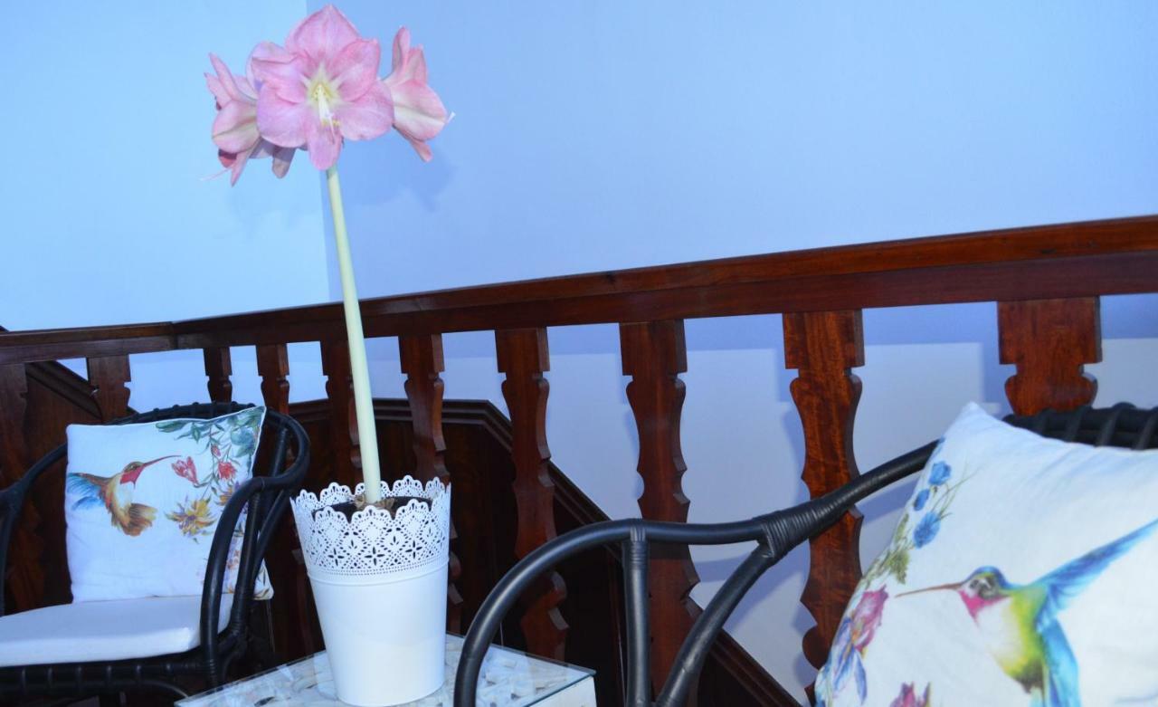 فيلا Beija-Flor House ريبامار المظهر الخارجي الصورة